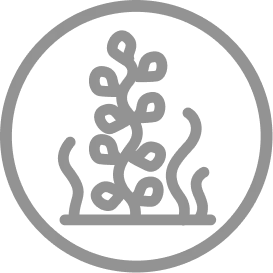 Alt image